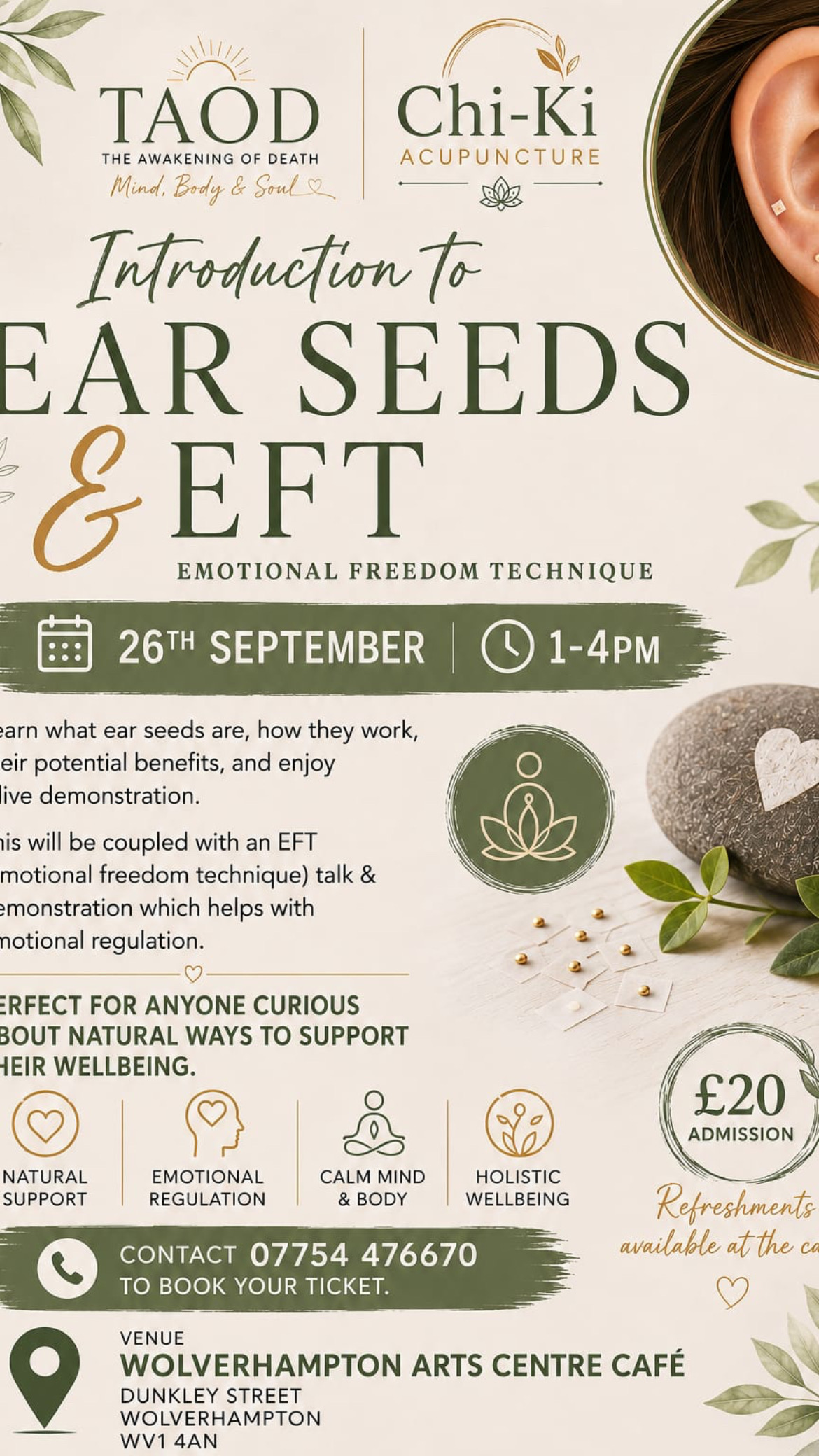 Ear Seeds